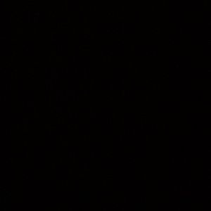 Meet your Posher, Hector